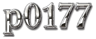 p0171 logo